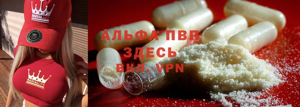 прущие крисы Новодвинск