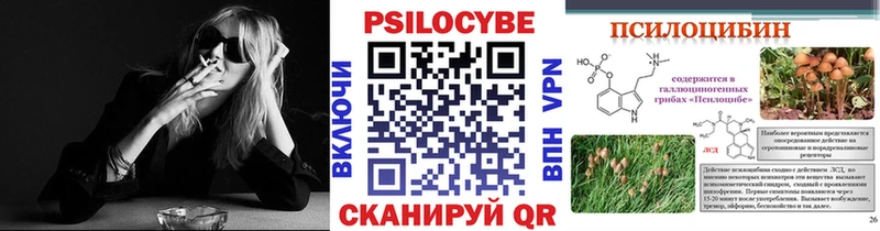 сколько стоит Артёмовский Галлюциногенные грибы Magic Shrooms