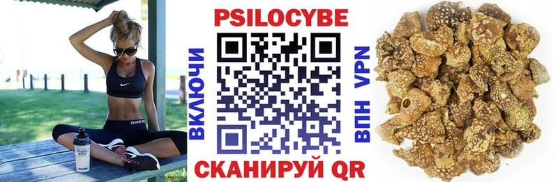 Галлюциногенные грибы Psilocybine cubensis Артёмовский